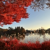 また、蓼科湖の綺麗な紅葉が見れました