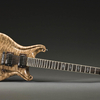 Scott Walker Guitars