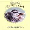あどけない姿に癒される❗️岐阜の市役所のカルガモ親子がぐうかわ❗️