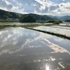 代掻きの水一面に雲光る（あ）