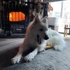 冬から春へ