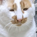 ドドドらいど（仮）
