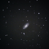 かみのけ座 渦巻銀河 M88 & 自動追尾の精度?