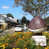 西日本一の山鹿和栗