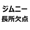 【ジムニー・ジムニーシエラ 後悔/欠点/長所/メリット/デメリット】色で後悔、燃費悪い、乗り心地が悪い、加速が悪い、圧倒的な走破性、かっこいい、など