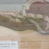 DIT井上、ひとはくに行く！　その６