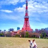 歯の治療で東京へ～その4～