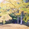 千倉町　小松寺へもみじ狩り