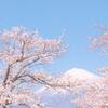 何千もの花々として