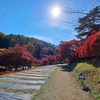 福島県～紅葉狩り～