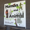 Human and Animal展