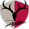 Salaries of J.League Kashima Antlers Players, 2015