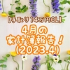 【手取り14万円OL】4月の家計簿報告！（2023.4）