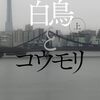 5/8　くもり