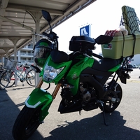 Z125pro リアキャリアを考える 旅に出たいごうけん