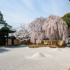 高台寺（こうだいじ）