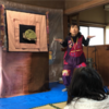 なに〜！？ぬの屋？？