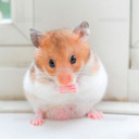 わーいわーいなblog