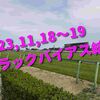 2023,11,18～19 トラックバイアス結果 (東京競馬場、京都競馬場、福島競馬場)