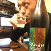 ロ万(ＲＯＭＡＮ)純米酒