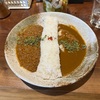 今日は薬膳カレー
