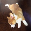 面白きことは、良きことなり。