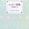 熱狂の時代をくぐり抜けたシェリー