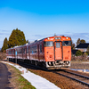 春色の汽車に乗って♪：JR城端線