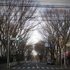 ２０１６年１月３日店景色　千葉県船橋市　北習志野ウツワヤマワ