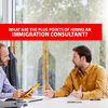 What are the plus points of hiring an Immigration Consultant?