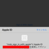 Sign in with Apple with Firebase Authentication 所感