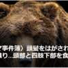 【全国的に頻発するクマ被害について……5／29－30　2ヶ月でクマの目撃89件　新潟県に危機感】＃402