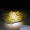 ミュージアムパーク茨城県自然博物館の企画展「ときめく石」を見学してきました。（その2）