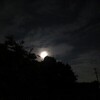 今夜の月