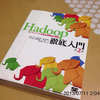 Having charge of Hadoop