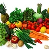 ﻿Reasons To GET ONE OF THESE Vegetarian Diet