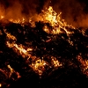 山火事で燃え続ける国土 ― 「気候国防」という新しい安全保障の論理