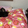 無言の訴え〜♡