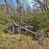 幸助池・まゆみ池（滋賀県東近江）