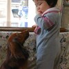 赤ちゃんと犬