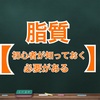 脂質【初心者が知っておく必要がある脂質について】