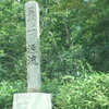 気づいたら四か月経過してました