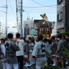 地元川崎の「日枝大神社」の夏祭り見物！！（３）