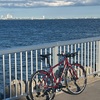 速いぞCOLNAGO PORTA 初期3回のライドの記録と簡単なレビュー