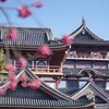 伏見桃山城と明治天皇陵、京都ひとり旅