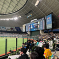 ベルーナドームで西武ライオンズ戦を観戦！無料招待で行ってきました