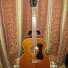 Guild F-212(1979)