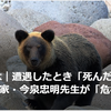 【クマイシス？！＝頻発するクマ被害……2／20－21　今後のクマの生息調査　環境省が都道府県に要請聞き取りへ】＃516