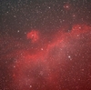 IC2177 いっかくじゅう座 かもめ星雲（AOO）