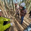 竹の環境整備
